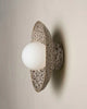 Dish Wall Sconce - White Ochre