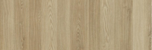 American White Oak