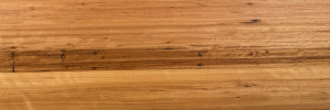 Blackbutt