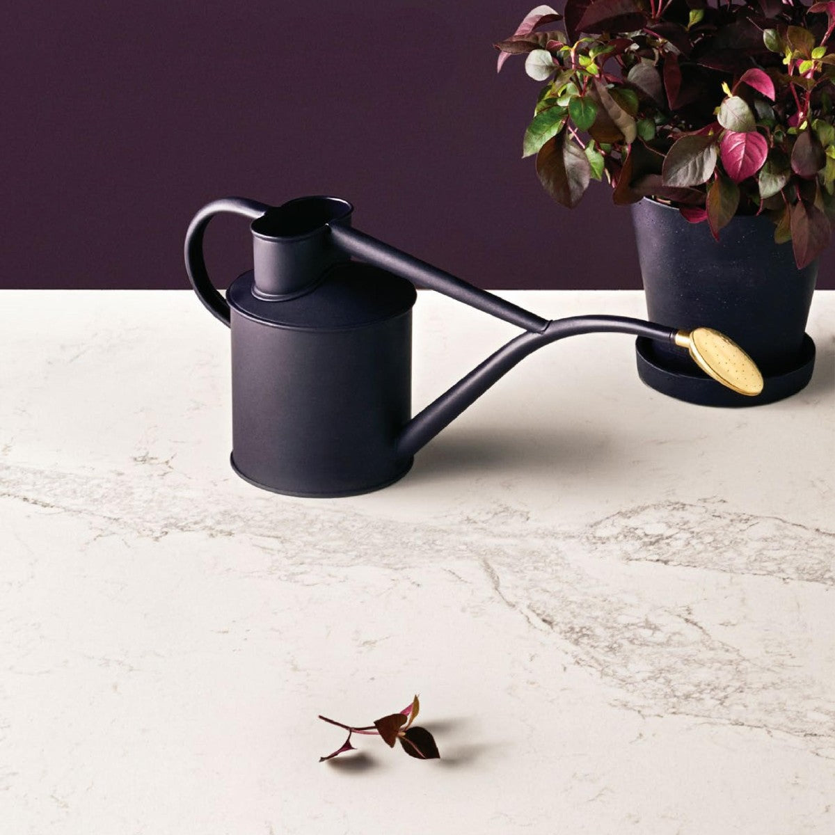 Calacatta Nuvo - Zero Silica Stone Benchtop