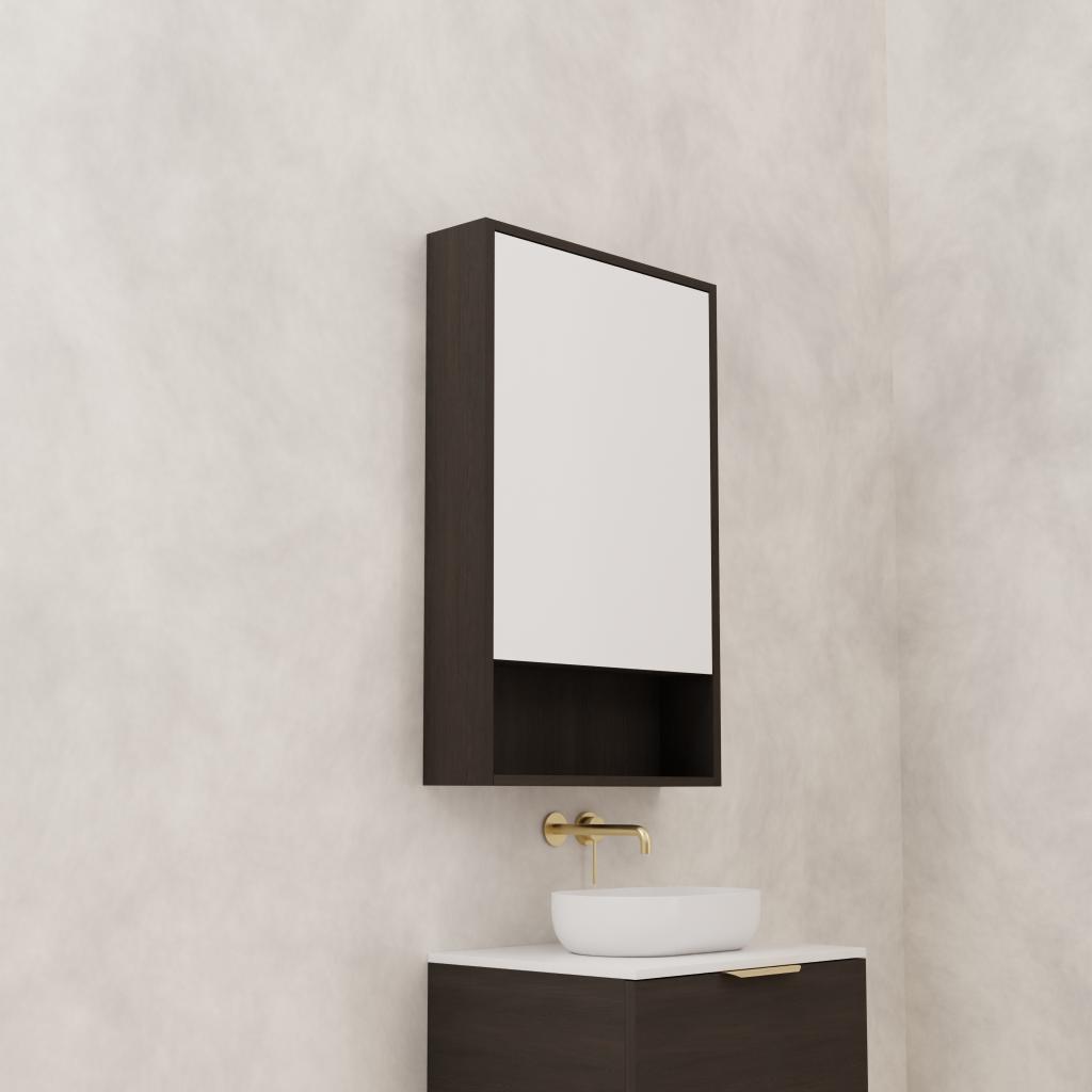 Carini - 600mm Smoked Onyx Shaving Cabinet