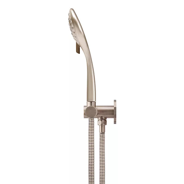 Round - Champagne Hand Shower on Swivel Bracket