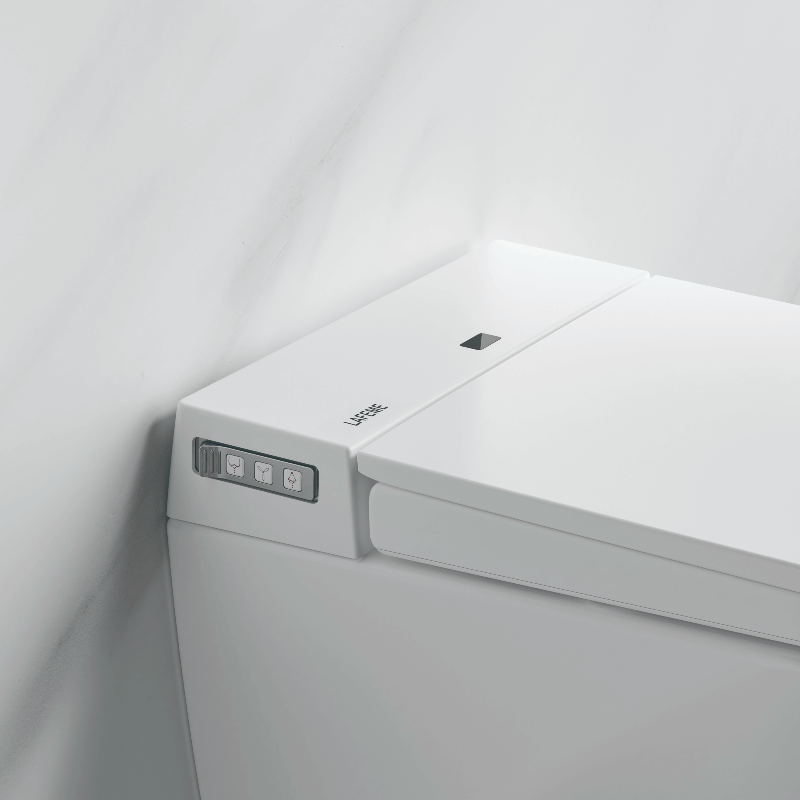 Sesto - ST22 Smart Toilet inc Brushed Bronze Flush Plate