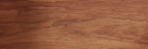 Tasmanian Blackwood