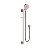Nova Shower on Rail