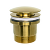 Pop-Up Waste - Brushed Brass