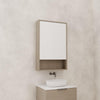Carini - 600mm Smoked Ash Shaving Cabinet