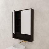 Carini - 750mm Smoked Onyx Shaving Cabinet