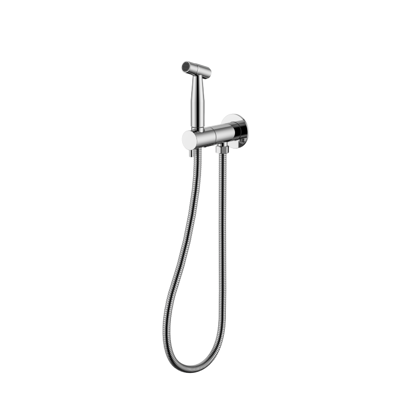 Bidet Spray with Mixer