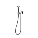 Bidet Spray with Mixer