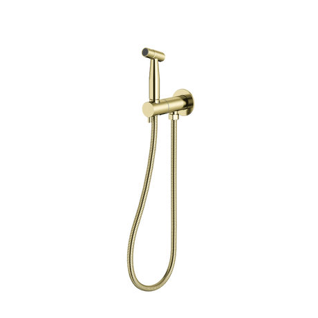 Bidet Spray with Mixer