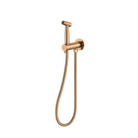 Bidet Spray with Mixer