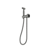 Bidet Spray with Mixer