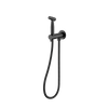 Bidet Spray with Mixer