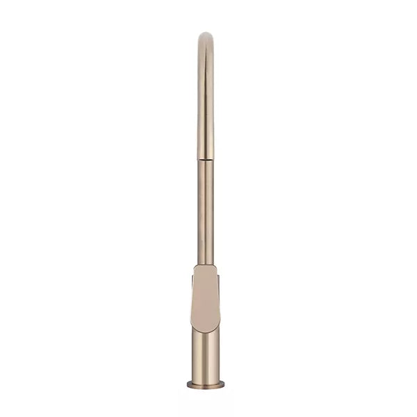 Round - Champagne Gooseneck Kitchen Mixer w Paddle Handle & Pull-out Hose