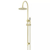 Round - Tiger Bronze Gooseneck Combination Shower Rail w 200mm Rose & Single Function Hand Shower
