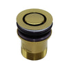 Pop Down - Brushed Gold Basin Waste