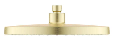 Mica 6H Shower Head