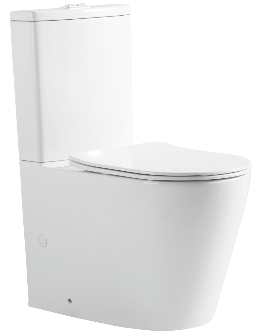 Tornado Toilet