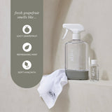 Cleaning Kit - Glass & Mirror