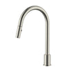 Kitchen Hob Spout with Pull Out Nozzle