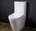 Cersei Gloss white ceramic tornado flush toilet, close coupled
