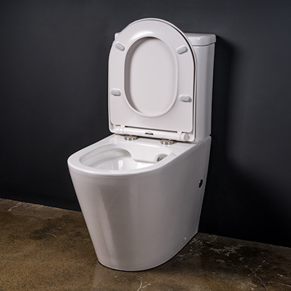 Cersei Gloss white ceramic tornado flush toilet, close coupled with seat up