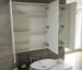 Tall Mirror Cabinet with shelves showing