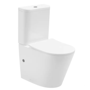 Vega Rimless Toilet